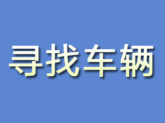 狮子山寻找车辆